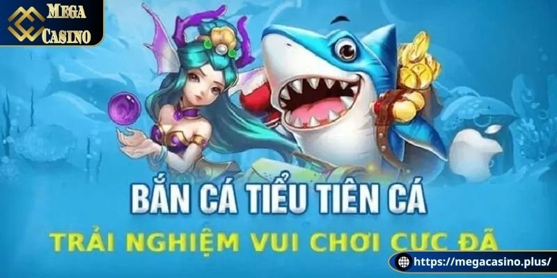 Đặc điểm của bắn cá tiểu tiên cá