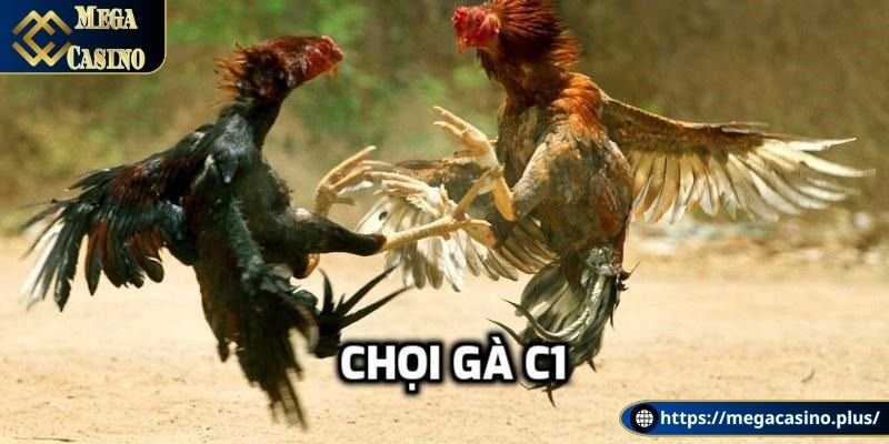 Đá gà C1 là giải đấu gì?