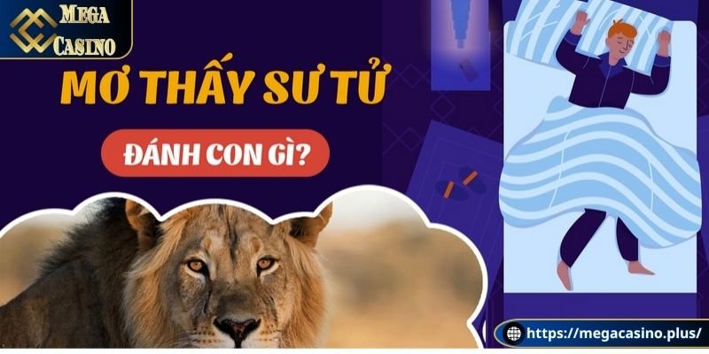 Những con số may mắn cần lưu ý khi mơ thấy sư tử